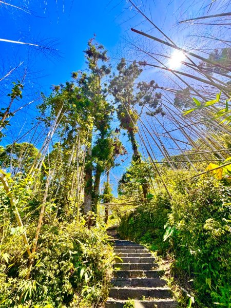 阿里山迷糊步道-福山古道2793375