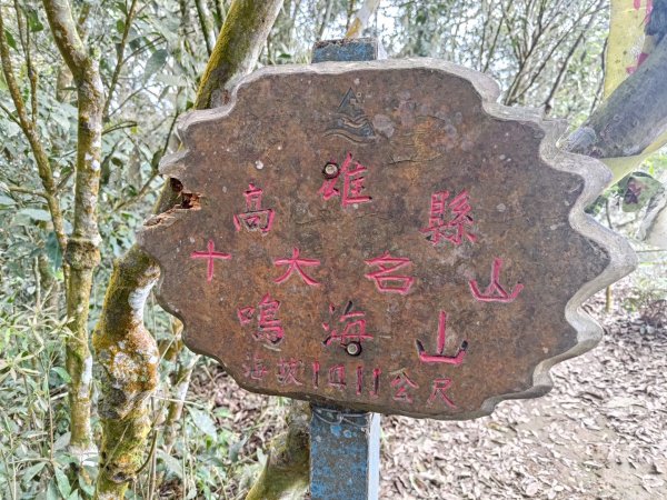 鳴海山、龍頭山步道2157078