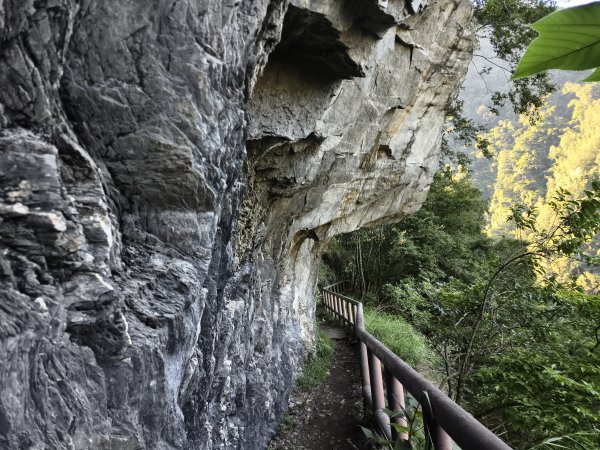 [玉山尋寶任務-07/12] 2025_0824 八通關雲龍瀑布步道2870506