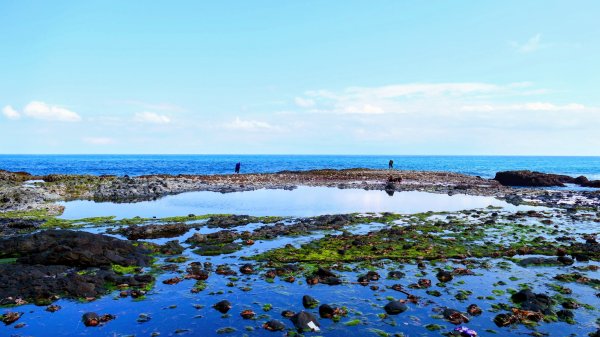 洄瀾東海岸3006745