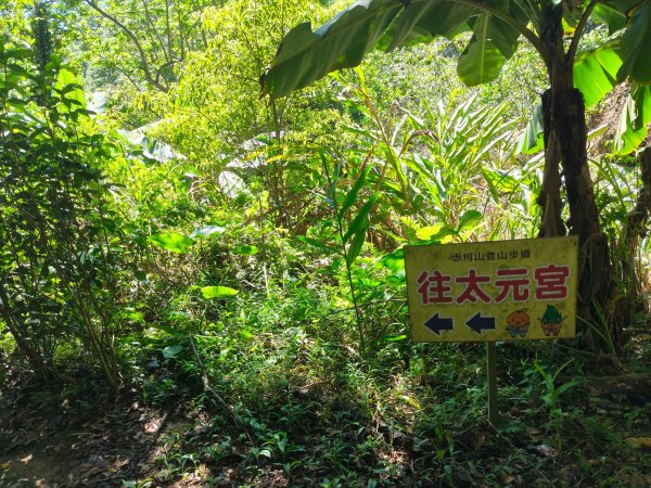 關西赤柯山、東獅頭山步道（玉山太元宮中元）2881695