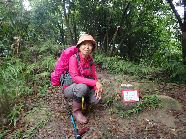 2022/5/3南寮站→內溝溪生態展示館→明舉山→水源頭福德宮→康樂山→百年橄欖→白鷺鷥山→捷運大湖公園站