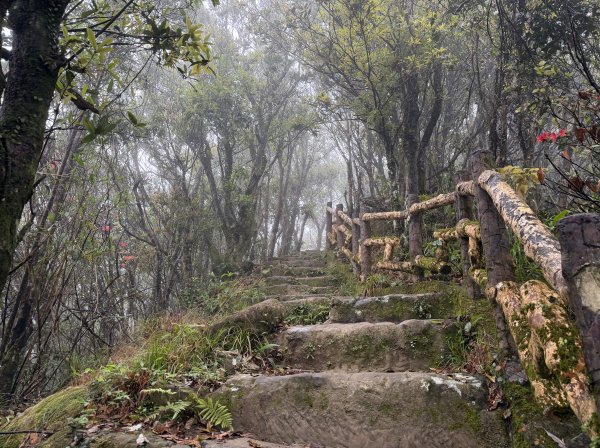[微笑山線_第八段] 2026_0321 二格山系_二格山3020932