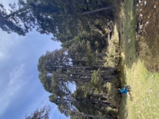 雪山西稜夢幻大景1392792