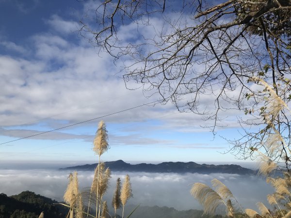 20181222馬那邦山490419