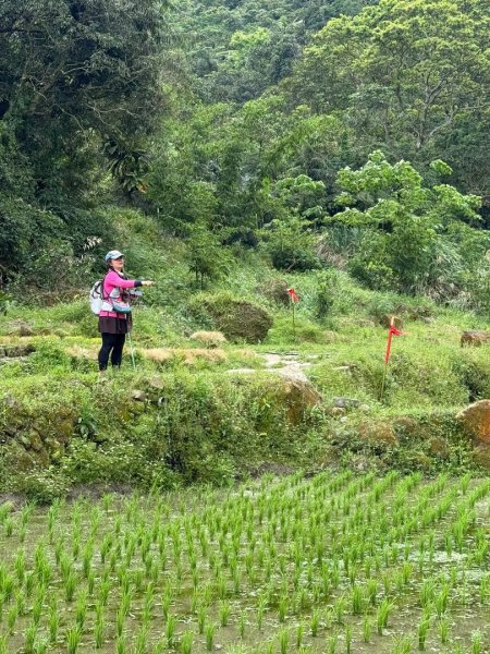銀河洞越嶺貓空-新高麗坑山-銀獅縱走-猴山岳群峰+三條魚縱走2765491