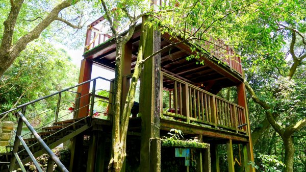 內雙溪自然中心2808695