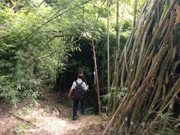 平溪區過火坪古道+枋山坑山+中坑頭鞍部+枋山坑古道+火燒寮古道O型2878602