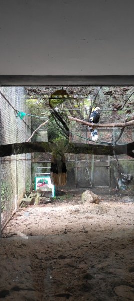 杭州動物園3089147