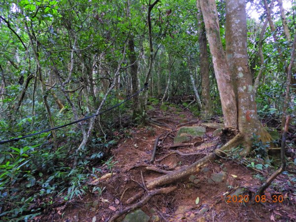 苗栗 卓蘭 大克山1083267