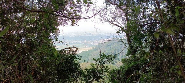 五十分山+福德坑山-2022/02/261619391