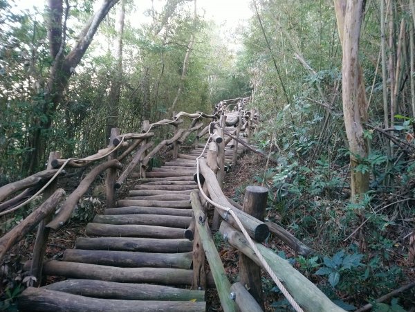 大坑步道全包一起登( 2 3維修)747620