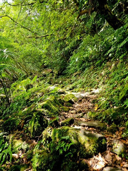 淡蘭中路第四段：威惠廟至灣潭古道登山口(崩山坑線)2882717