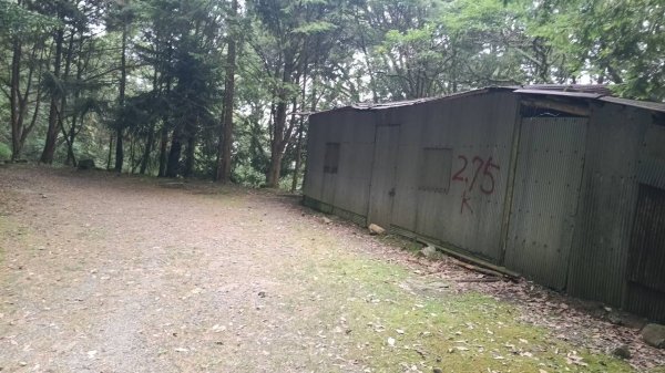 20251010 大雪山國家森林遊樂區 - 船型山林道 登 烏石坑山2911147