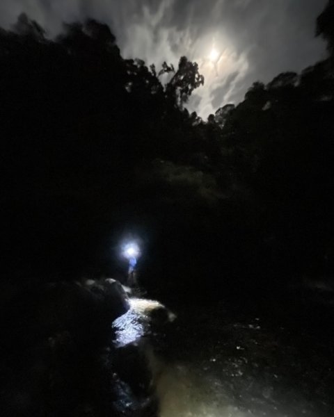 烏來加九寮溪-卡拉莫基清幽小秘境/釣魚💙2595686