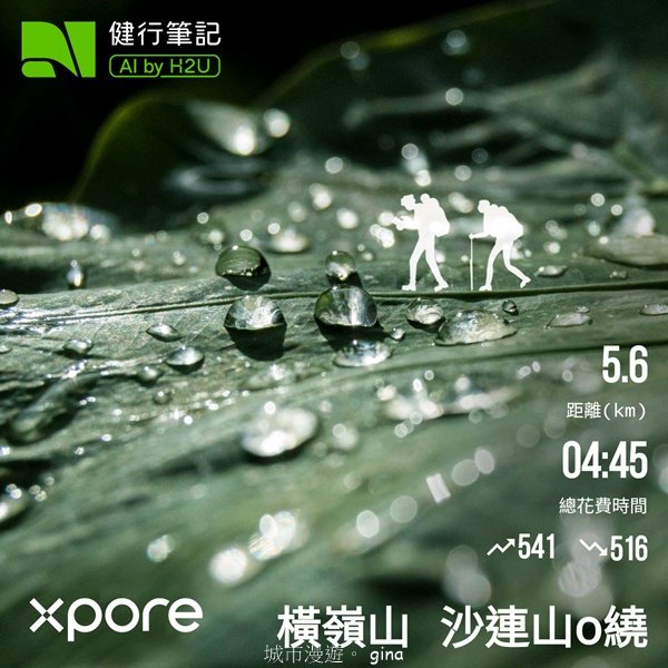 【台中和平】筆直的杉林.林相優美。 橫嶺山x沙連山P型2869064