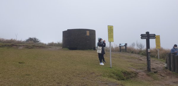 環擎天崗、冷擎步道2009893