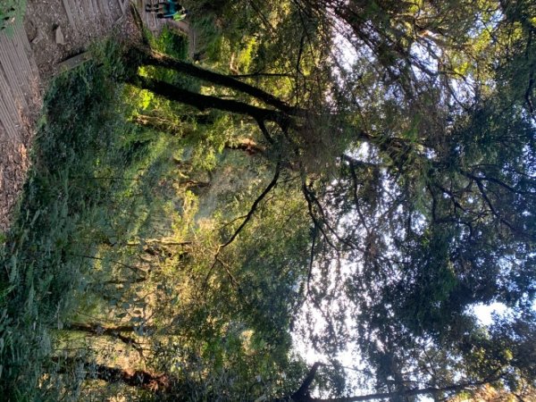 奮起湖大棟山1547913