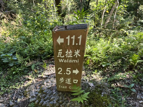 [玉山尋寶任務-03/12] 2025_0810 瓦拉米步道2857474