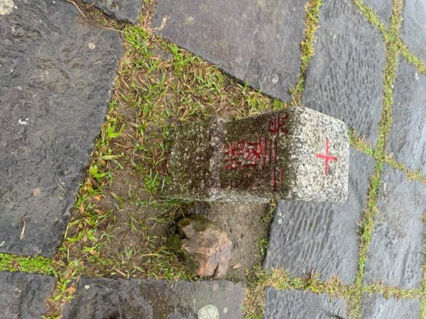 灣坑頭山(小百岳#82)2884252