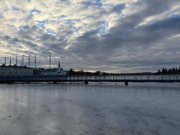 [紐約馬之行-21] 2025_1104 托寧湖(Tjörnin)2946353