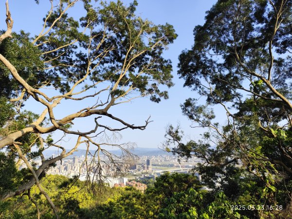 【臺北大縱走 5】碧山巖→忠勇山越嶺步道→金龍產業道路→圓明寺步道→鄭成功廟步道→文間山→劍潭山步道2744903