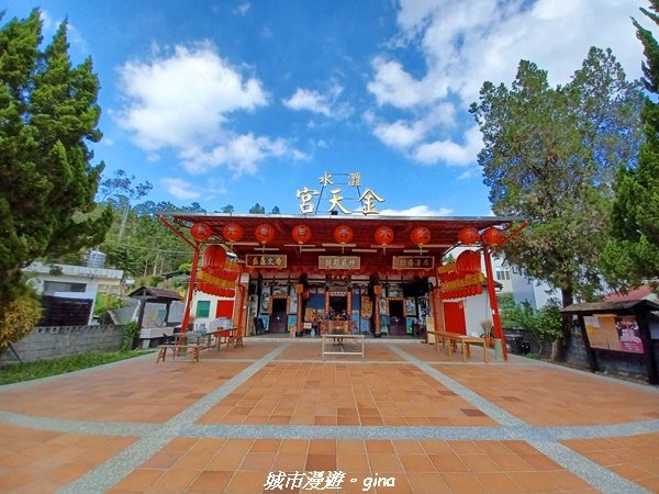 【南投魚池】天晴健行趣。 台版侏儸紀公園_澀水森林步道2407784