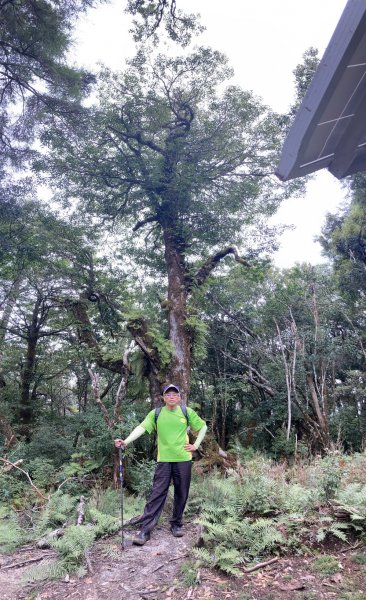 塔曼山：新北市第一高峰之樹的國度1860870