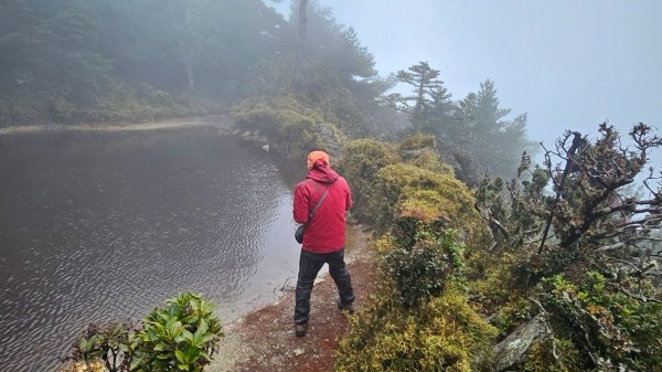 20250319～20嘉明湖國家步道🥶🥶🥶殘念😭2739737