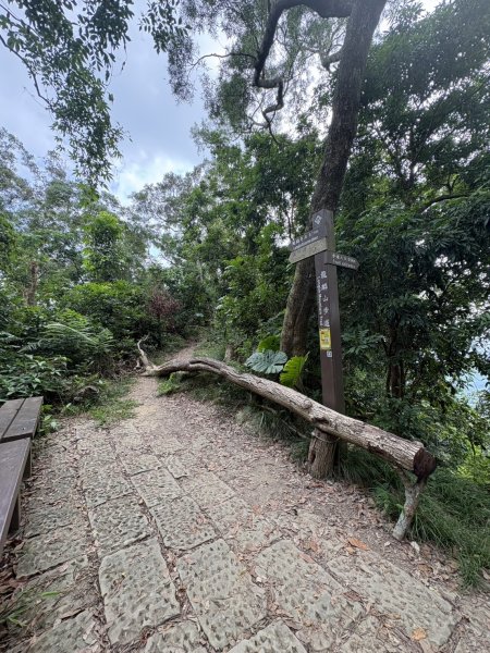 20251010南化龍麟山步道2914997