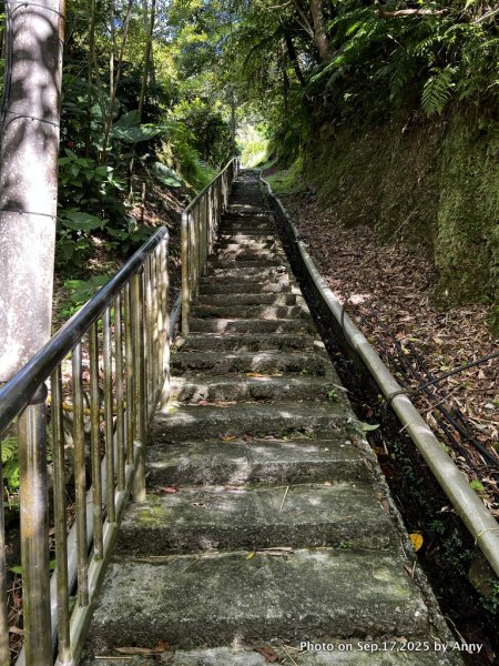 微笑山線【五分山系】菁桐煤礦段＋平溪小黃山段2906695