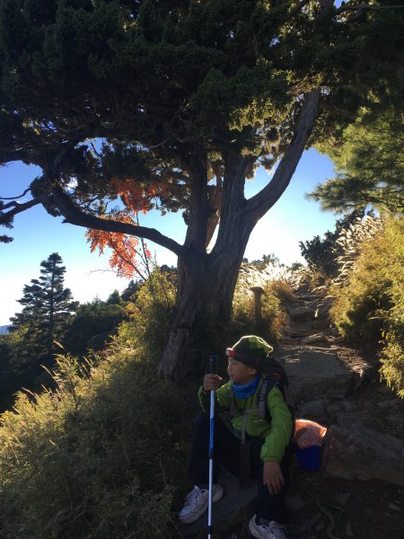 雪山 不下雪533087