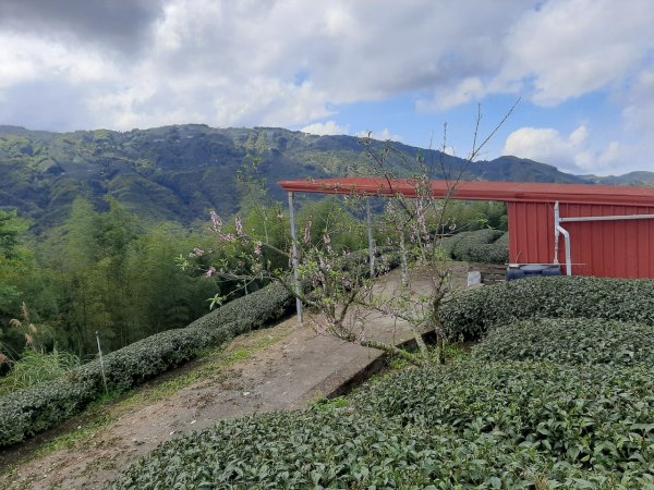 鹿谷小半天6峰連走1269683