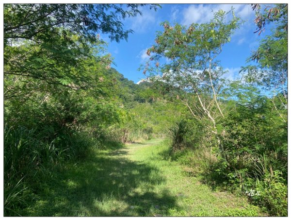 大安溪峽谷 (苗栗、卓蘭)2810029