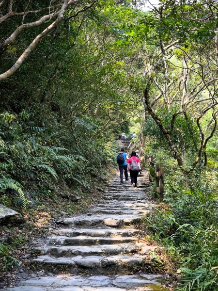 2026-04-18 雙流國家森林遊樂區（瀑布步道）3048217