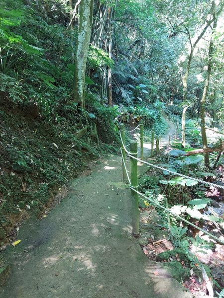 20230924土城朱財華步道、大尖山、二尖山、青龍嶺2293919