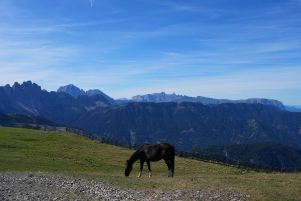 【義大利.Dolomites.多洛米蒂.ALTA VIA 2】2910720