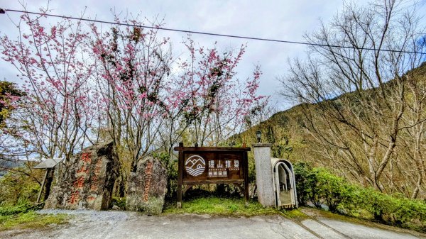 《踏莎行。太麻里山春色》2720574