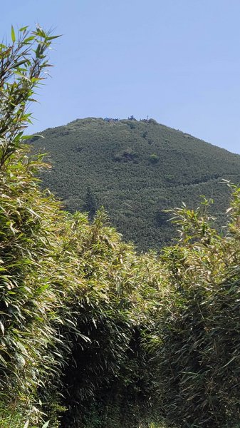 七星山主東峰登高望遠2117061