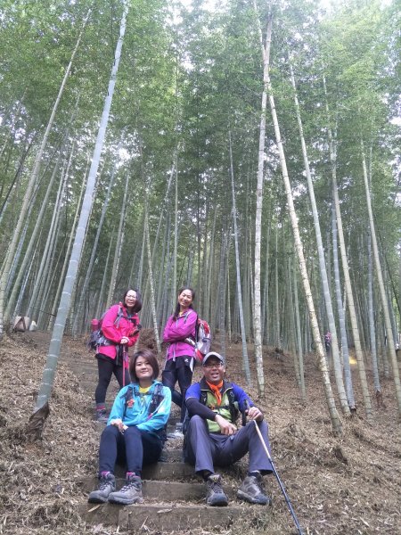 20181204嘉南雲峰、石壁山登山步道473366