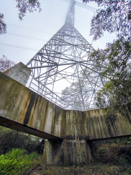 2025-03-08 汶水三山：金童山、汶水山、玉女山 連走2736545