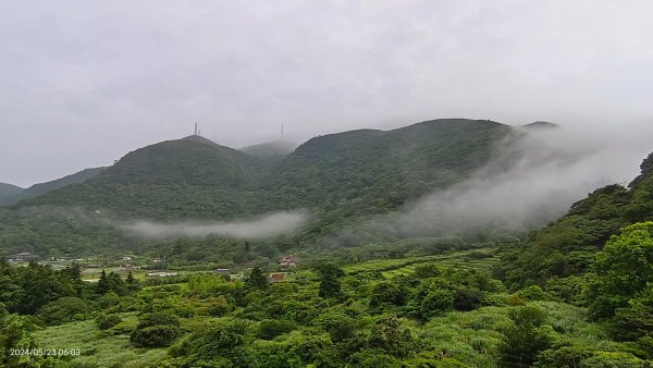 陽明山再見雲海&雲瀑5/23 #五色鳥育雛2510719