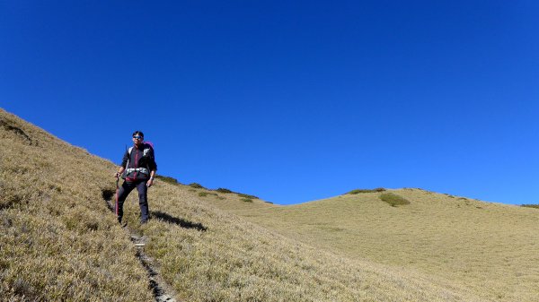 大好天氣的奇萊東稜488909