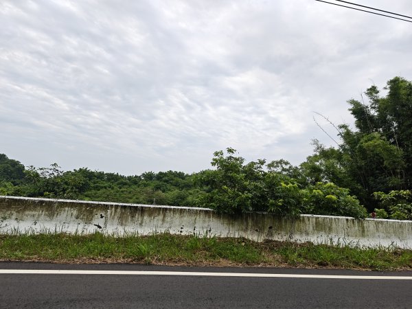 [山海圳_大圳之路_第二段] 2026_0801 南湖口⮕東口工作站3108555