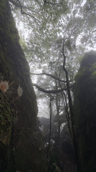 加里山3042803