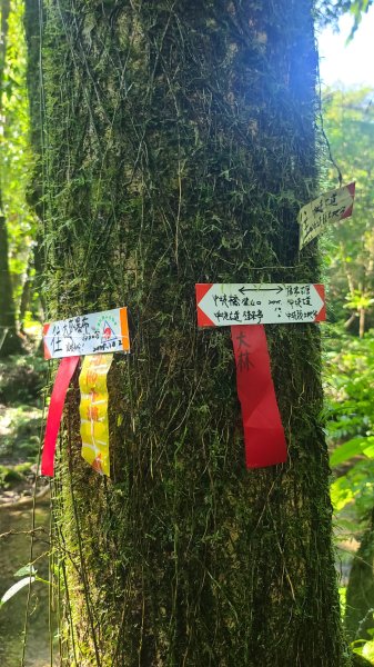 2026-0204 中坑古道_下坑古道O型3005568