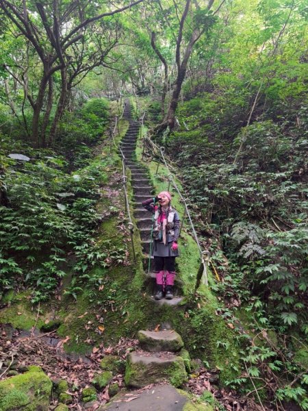 微笑山⛰️線-大棟-二格山-五分山-天上山-鳶山💎12條步道完成💙2836446