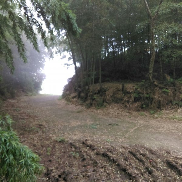 雲嘉五連峰O型環狀684864