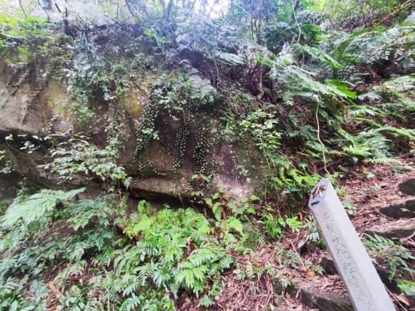 淡蘭南路2+1逆走2671853