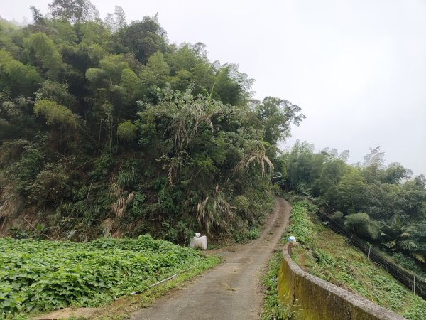 2023.12.24 大湖尖山2838721